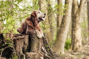 华体会app-超级替补！39岁苏亚雷斯帽子戏法导演超级逆转，国际米兰友谊赛5-4险胜韩国明星联队