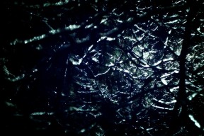 华体会登陆-猛龙末节风暴席卷广东，杰伦格林39分定江山